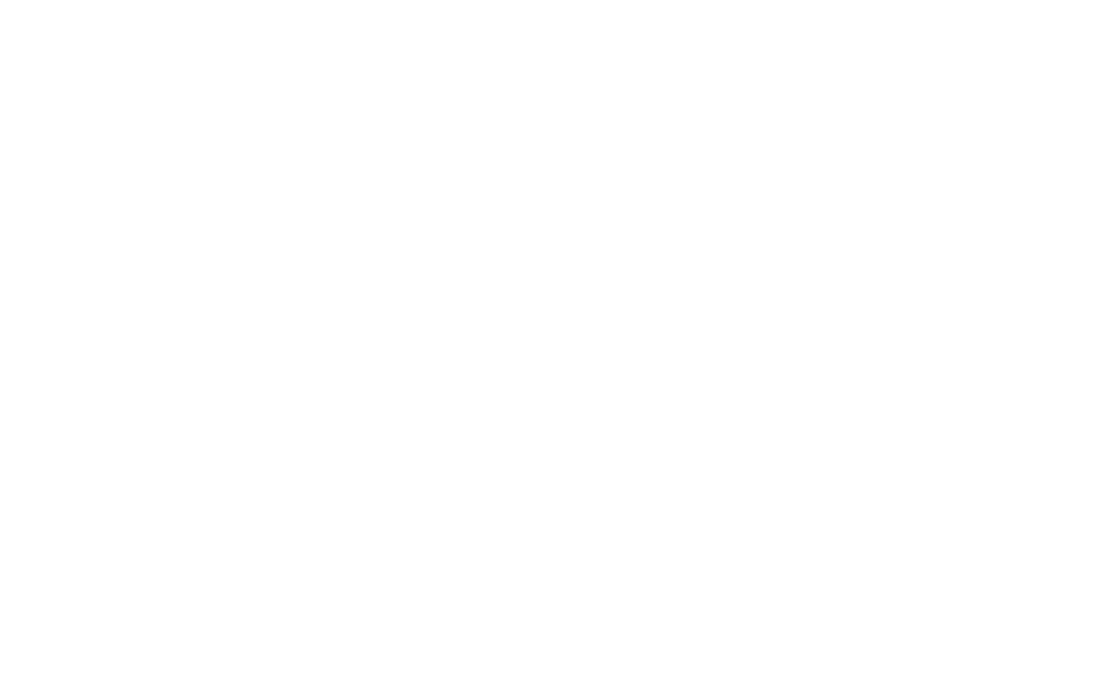 precision logo primary rgb white