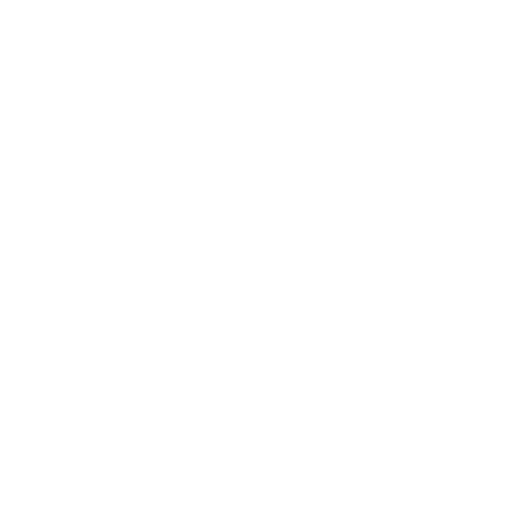 Precision RGB logo in white