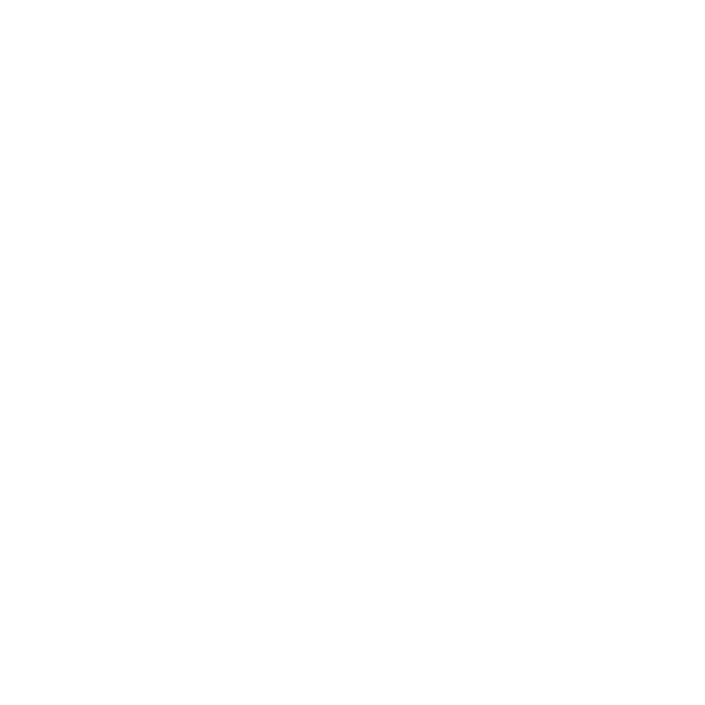 Precision RGB logo in white