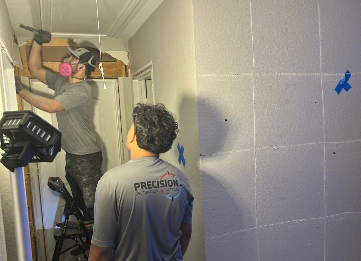 Mold Removal & Cleanup