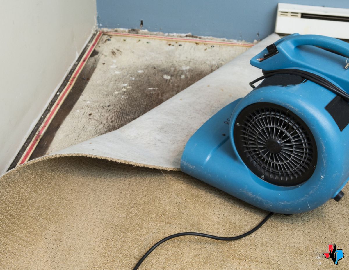 Water damage near me—carpet pulled back to reveal mold growth and moisture damage on the subfloor, with a blue air mover in place for drying.