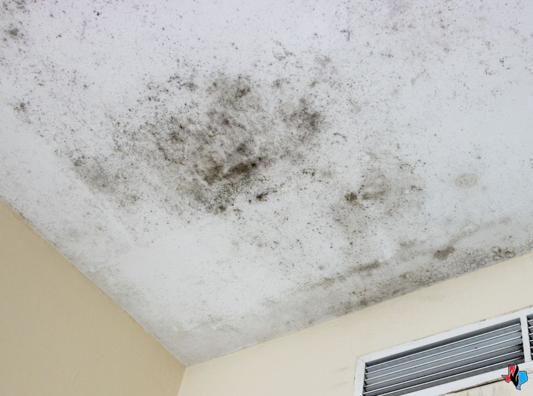 Certified Mold Remediation in Humble, TX – Black mold growing on a white ceiling near an air vent in a residential room. Precision Restoration offers professional mold cleanup and removal services to protect property and indoor air quality in Humble, TX.