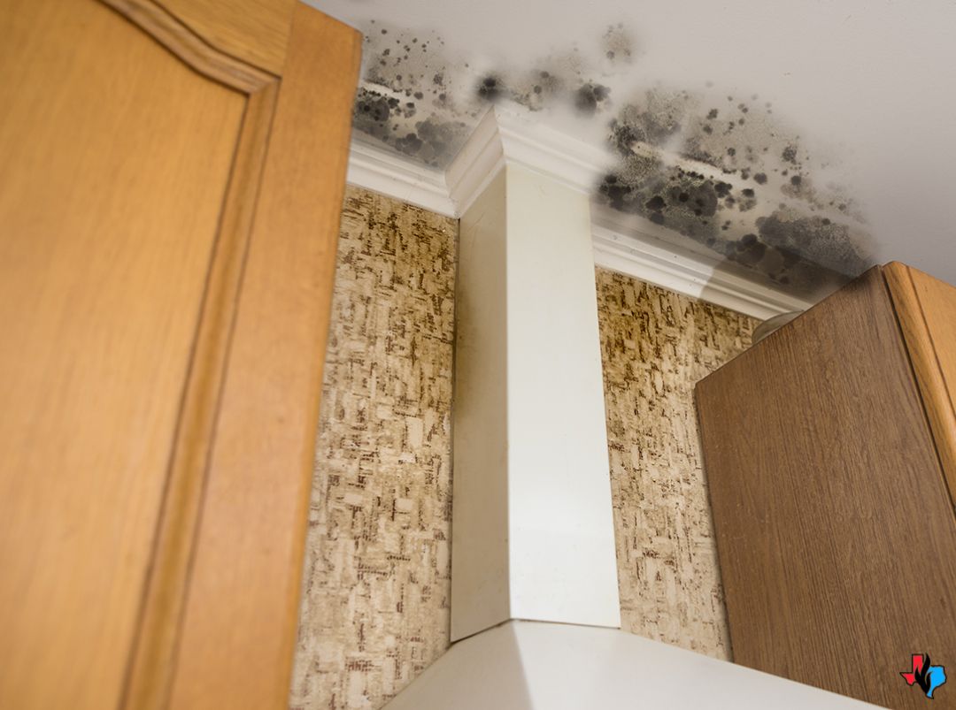 emergency restoration services in magnoila tx