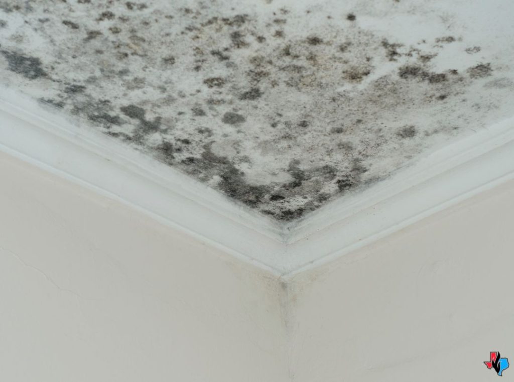 Storm Damage to a Roof