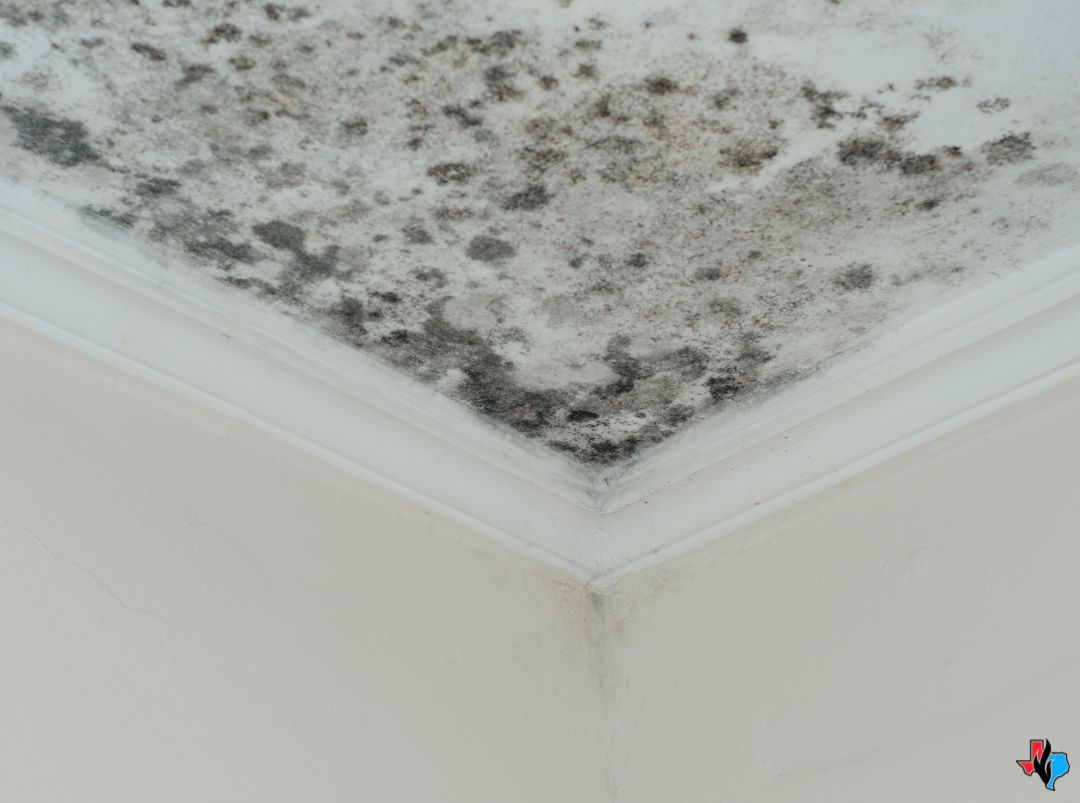 emergency restoration services in porter tx