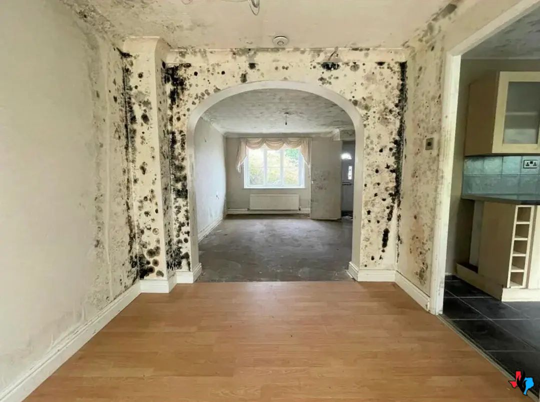 A home with heavy black mold growth along the walls, requiring expert mold remediation in Spring, TX. The mold damage has spread through living areas and needs professional removal.