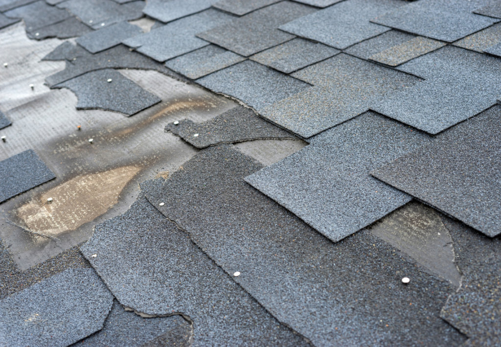Close-up of roof shingles showing granule loss and visible surface damage.