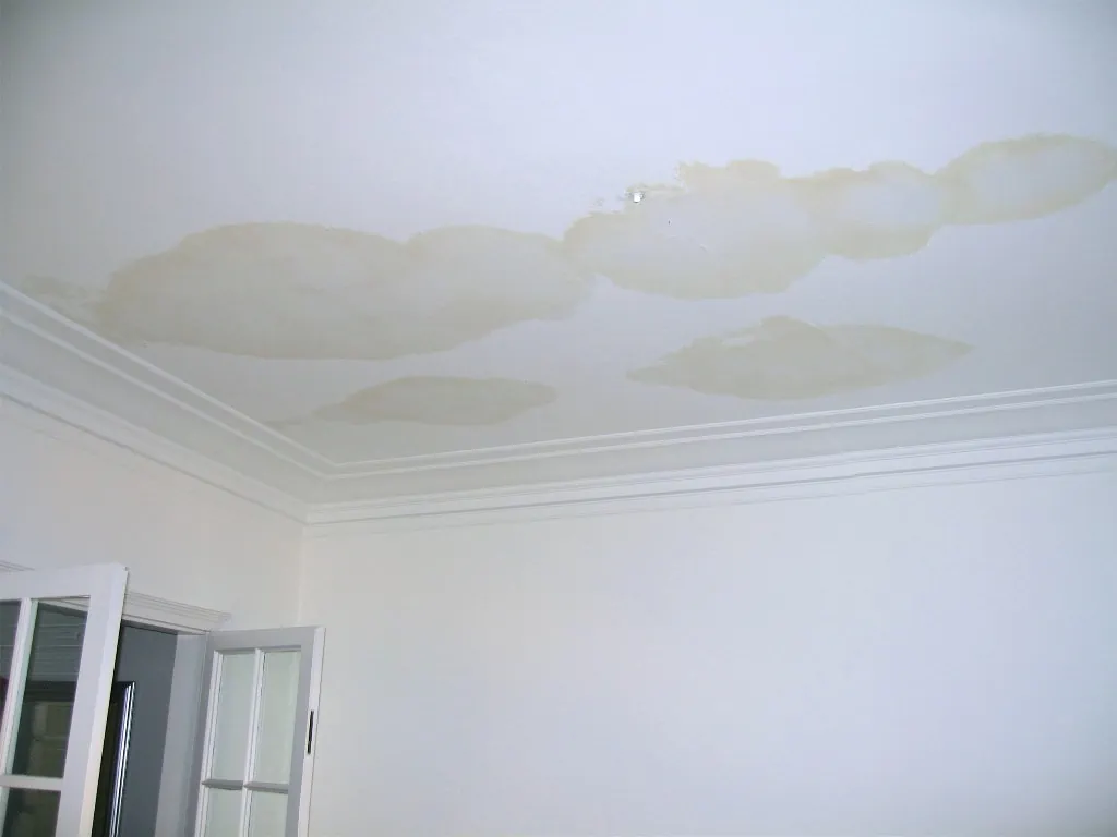 Ceiling with large brown water stains caused by roof leaks.