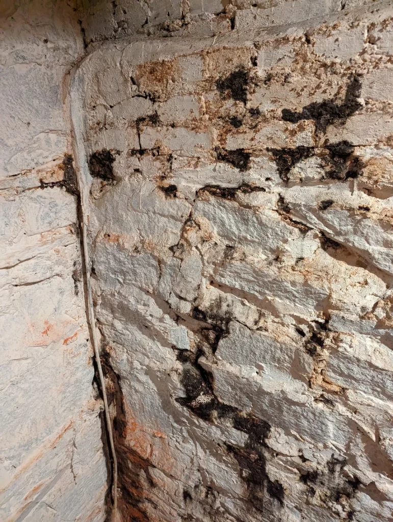 How Fast Can Water Cause Damage